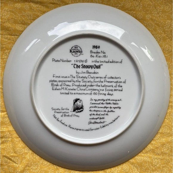 THE SNOWY OWL-The Stately Owl Collection: Birds Of Prey-Edwin Knowles Plate-1989 - Picture 2 of 2